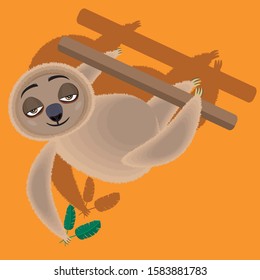 funny sloth in different poses isolated on white background