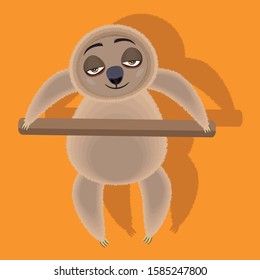 funny sloth in different poses isolated on white background