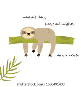 Funny sloth napping on a tree. Sleep all night, nap all day, party never text.