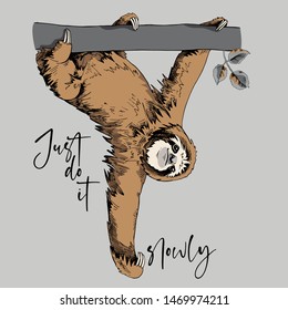 Funny Sloth on a trunk tree. Just do it slowly - lettering quote. Humor card, t-shirt composition, hand drawn style print. Vector illustration.