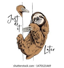 Funny Sloth on a trunk tree. Just do it later - lettering quote. Humor card, t-shirt composition, hand drawn style print. Vector illustration.