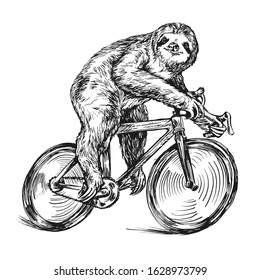 Funny sloth rides a bicycle style drawing ink vector