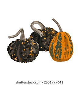 Funny small decorative pimpled pumpkin composition isolated on white. Pimply and warty gourd vector drawing illustration