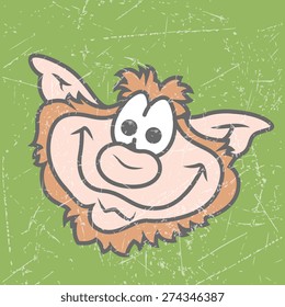 Funny Smile Leprechaun Face