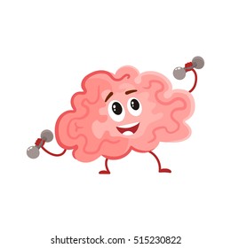 Funny smiling brain training with dumbbells, cartoon vector illustration on white background. Cute brain character lifting weights as a symbol of education, training and development