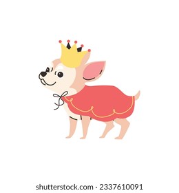 Funny smiling chihuahua dog dressed up with crown and red cape like a king vector isolated illustration on white background. Cartoon cute Chihuahua purebred breed of furry little dog, best pet.