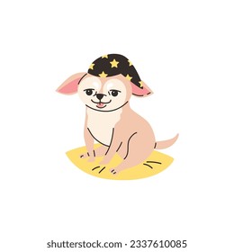 Funny smiling chihuahua sitting in hat with stars flat style, vector illustration isolated on white background. Decorative design element, thoroughbred dog animal, little pet