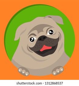 funny smiling dog