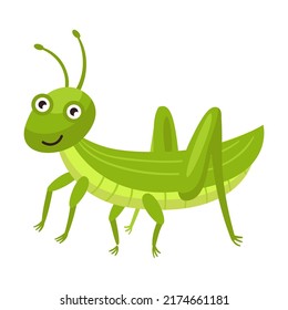 Funny smiling grasshopper flat icon. Cartoon cute caterpillar, fly, beetle, butterfly, snail, spider isolated vector illustration. Nature and insect