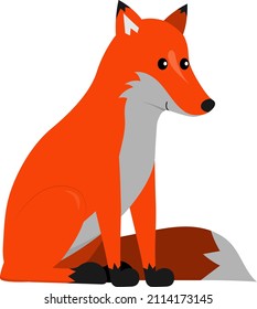 funny smiling orange sitting fox isolated on white background, cute vector illustration for children and kids