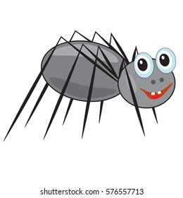 funny smiling spider on a white background