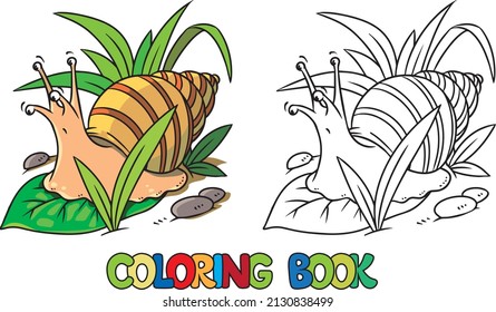 Funny snail Kids coloring book Vector illustration