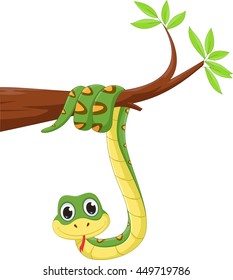 funny snake on a tree branch