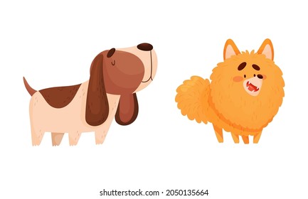 Funny Spaniel and Pomeranian Dog as Four-legged Friend and Domestic Pet Vector Set