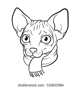 Funny sphinx cat in a scarf. Vector outline illustration