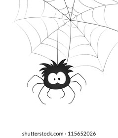 Funny Spider   Web