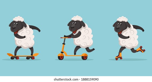 Funny sporty sheep. Animal riding on skateboard, roller skates and scooter. 