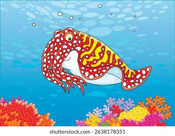 Funny spotted cuttlefish swimming over colorful corals in blue water of a tropical reef in a warm southern sea, vector cartoon illustration