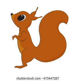 Funny squirrel