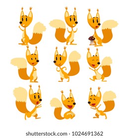 Funny squirrel cartoon character set, cute forest animal with different actions and emotions vector Illustrations