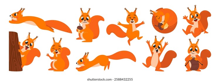 Funny squirrel. Cartoon squirrels jump, peeking from tree, knitting and sleeping. Cute wild forest animals in different poses. Childish mascots classy vector set