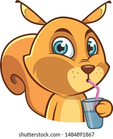 Funny Squirrel with a cocktail