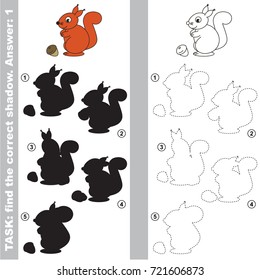 Funny Squirrel to find the correct shadow, the matching educational kid game to compare and connect objects and their true shadows, simple gaming level for preschool kids.