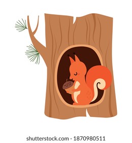 Funny Squirrel as Forest Animal Sitting in Tree Hollow with Acorn Vector Illustration