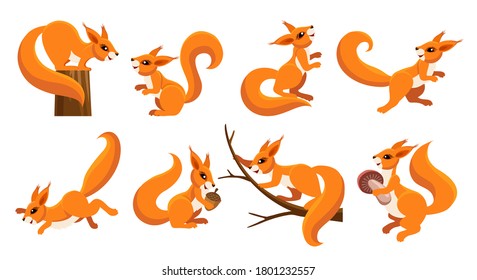 Funny squirrel set. Cartoon cute rodents, flat mammals of wildlife with nuts, vector illustration mascots of emotions of squirrels isolated on white background