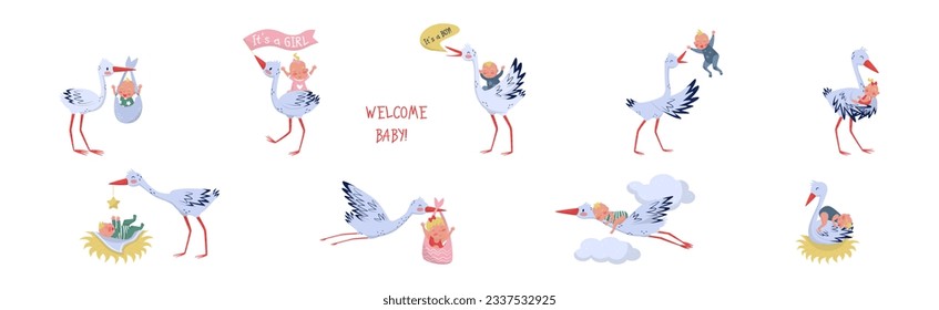 Funny Stork Animal Carrying Little Baby Vector Set