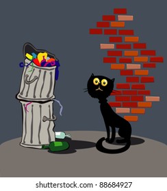 Funny street cat
