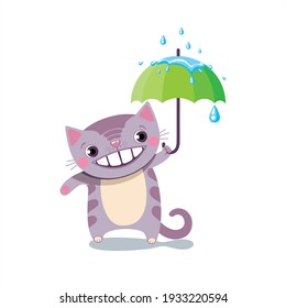 Funny striped cat under an umbrella.