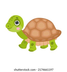 Funny strolls tortoise cartoon character. Vector illustrations for nature. Green baby turtle