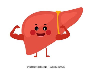 Funny strong healthy liver cartoon character in flat design on white background.