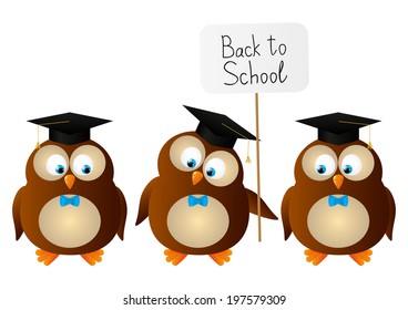 Funny student owls isolated on white