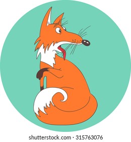 Funny surprised Fox washes