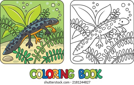 Funny sweeming newt. Kids coloring book. Vector