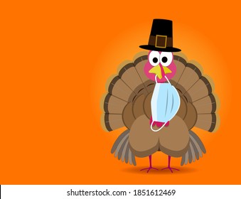 Funny thanksgiving turkey wearing a pilgrim hat with a surgical face mask hanging from his beak during the coronavirus pandemic