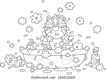 Funny thoughtful and confused fat cat relaxing and washing in a bubble bath with foam, black and white outline vector cartoon illustration for a coloring book page