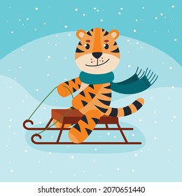 Funny Tiger on sledding. Tiger in winter. Vector illustration. Hello winter. Chinese new year symbol 