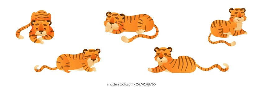 Funny Tiger Predator Jungle Animal with Striped Coat Vector Set