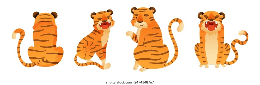 Funny Tiger Predator Jungle Animal with Striped Coat Vector Set