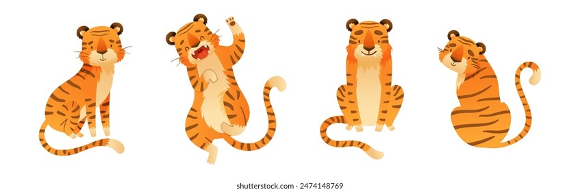 Funny Tiger Predator Jungle Animal with Striped Coat Vector Set