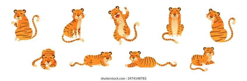 Funny Tiger Predator Jungle Animal with Striped Coat Vector Set