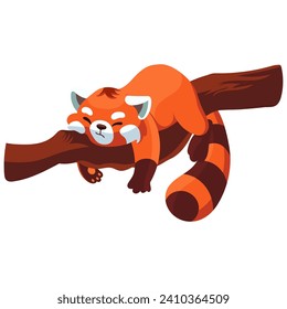 Funny tired raccoon sleeps on a tree. Cartoon illustration, postcard, vector