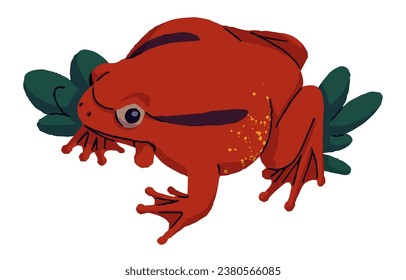 Funny tomato frog sits in grass, leaves. Cute froglet with red skin. Poison toad, toxic forest froggy. Swamp inhabitant. Wild rainforest fauna. Flat isolated vector illustration on white background