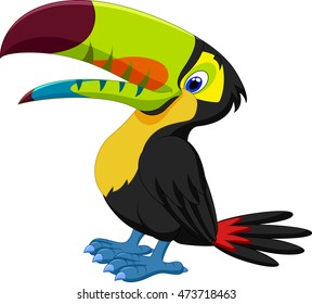 Funny toucan 