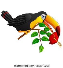 Funny toucan bird cartoon