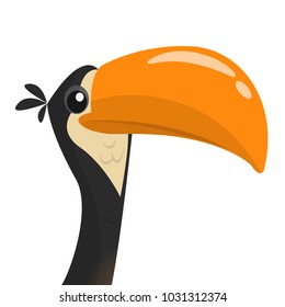 Funny toucan cartoon. Vector bird illustration