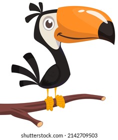 Funny toucan cartoon. Vector bird illustration